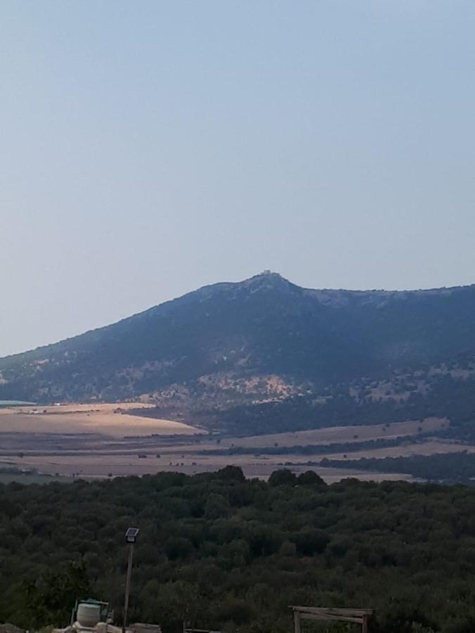 B&B Porta Del Gargano 산 마르코 인 라미스 외부 사진
