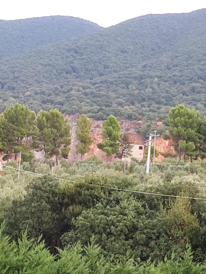 B&B Porta Del Gargano 산 마르코 인 라미스 외부 사진
