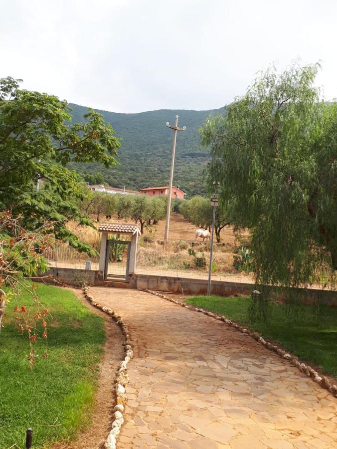 B&B Porta Del Gargano 산 마르코 인 라미스 외부 사진